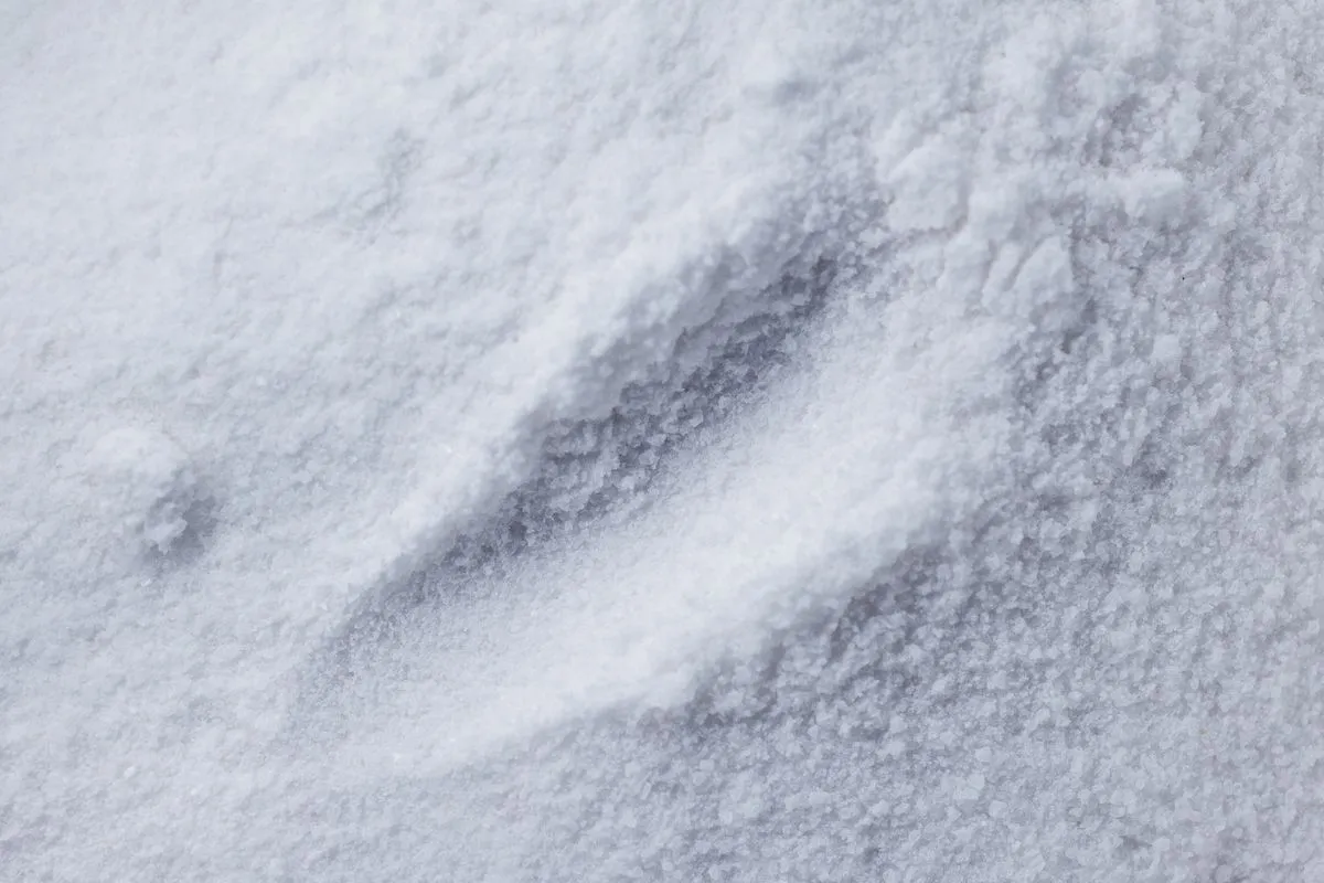 VCI Powder